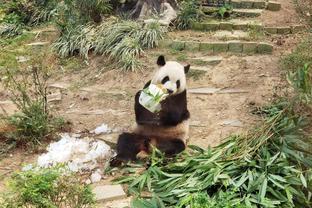 蔡少芬机场偶遇中国女排：我这个小迷妹太幸运了，中国女排必胜